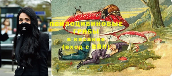 соль курить ск Аркадак