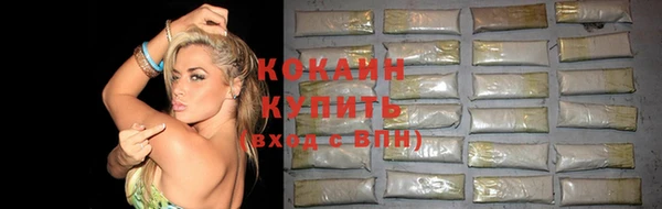 дживик Балахна