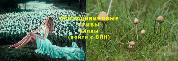 дживик Балахна